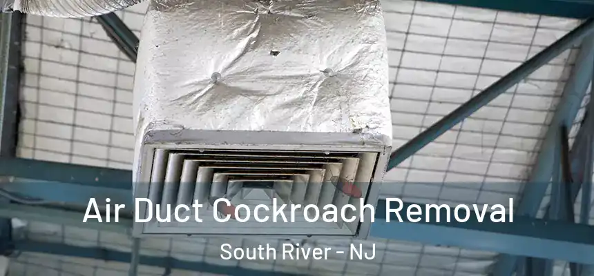  Air Duct Cockroach Removal South River - NJ