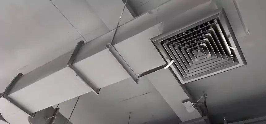 Restorative Allergy Relief Vent Cleaning – Coil, Blower & Housing Detail in South River