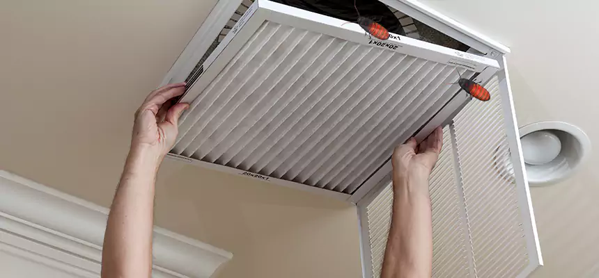 Our Insect Removal from Air Ducts Services in South River, NJ