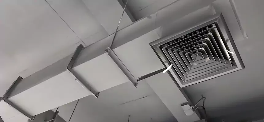 Our Pest Removal From Ducts Services in South River, NJ