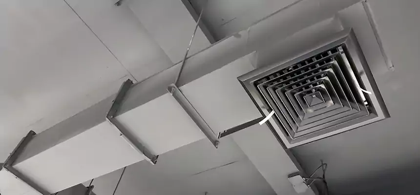 Our Rodent Droppings In Vents Services in South River, NJ