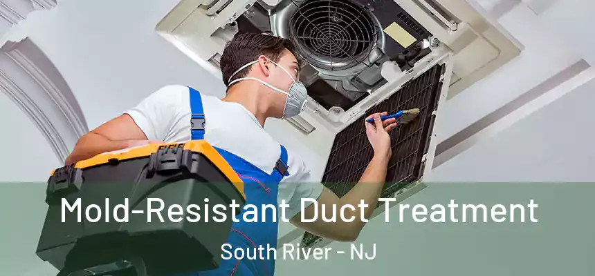  Mold-Resistant Duct Treatment South River - NJ
