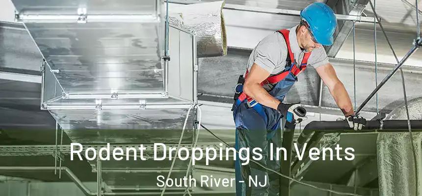  Rodent Droppings In Vents South River - NJ