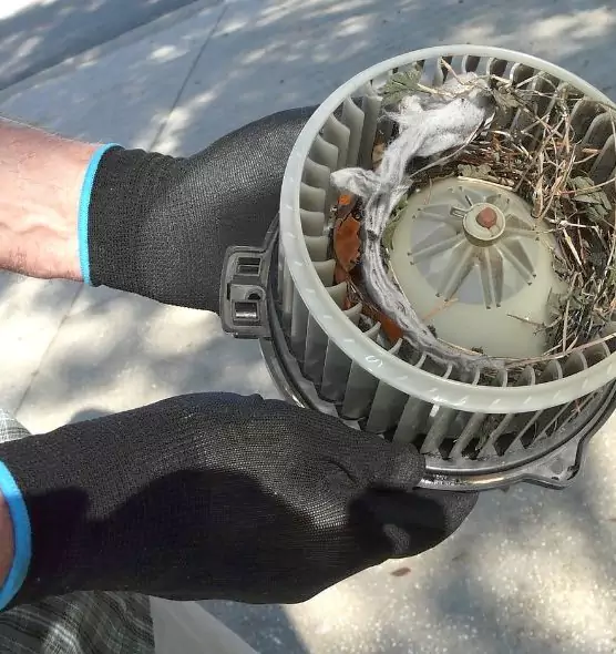 About Air Duct Mice Removal in South River, NJ