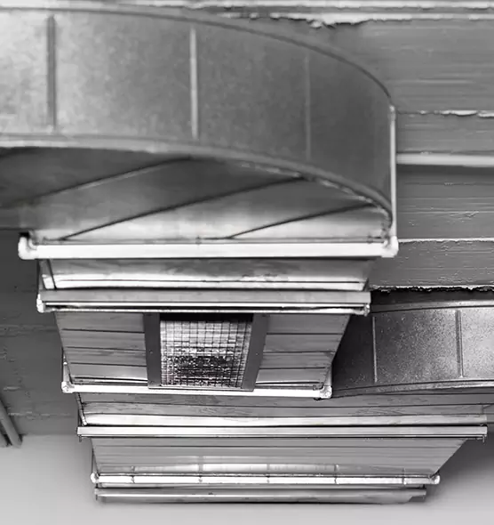 Professional Air Duct Pest Removal in South River, NJ