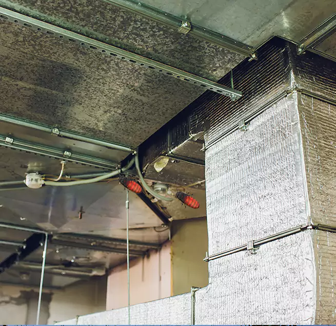 Why Homeowners & Businesses Trust Us in South River, NJ?