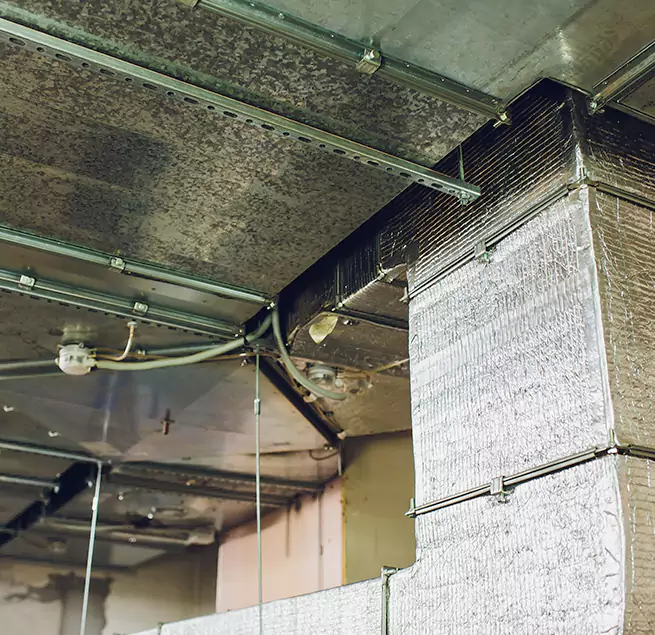 Why Homeowners & Businesses Trust Us in South River, NJ?